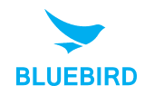 Bluebird